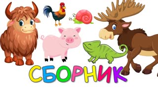Учим животных Сборник  - Зоопарк | Викторина | Как говорят Животные | Развивающие мультики для детей