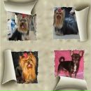 Фотография Евтихиевой Ольги