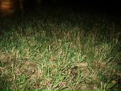 Гєна Данько фотография #13 (источник - https://vk.com/id16666375)