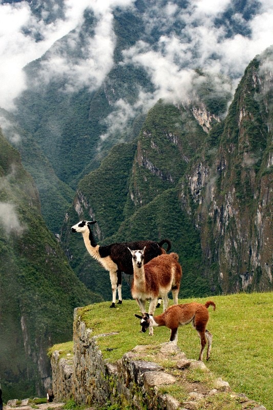 Денис Бабайка фотография #18