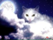 Фотография Морозовой Юлии