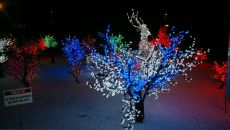 Сергій Сеник фотография #11 (источник - https://vk.com/id58304246)