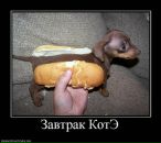 Фотография Суровой Елены