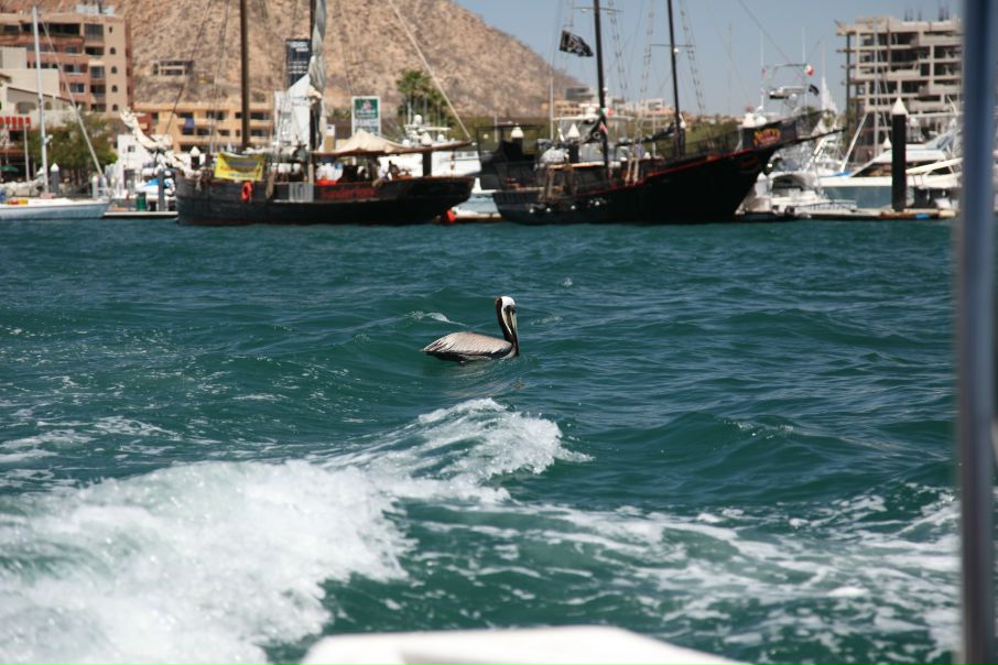 Джейн Эйр фото №45