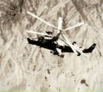 Фотография Перцева Антона