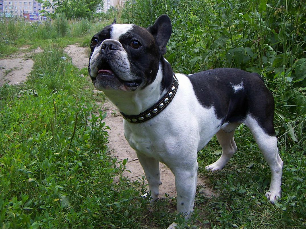 Сергей Кондратьев фотография #3