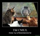 Андрій Жовтко фотография #29 (источник - https://vk.com/id76902260)