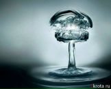 Фотография Васина Ильи