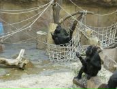 Фотография Гуляева Даниила