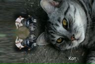 Ігор Галюк фотография #17 (источник - https://vk.com/id11301119)