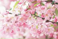 Мирослава Колодій фотография #33 (источник - https://vk.com/id74724043)