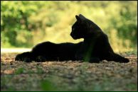 Фотография Богуславской Киры