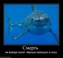 Олександр Солоний фотография #33 (источник - https://vk.com/id12110341)