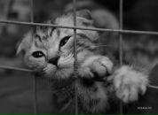 Фотография Щетининой Татьяны