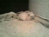 Фотография Уютновой Марины