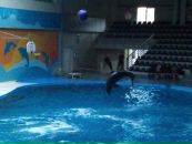 Murat Uzun фотография #14 (источник - https://vk.com/id1846906)