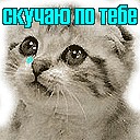 Міша Романюк фотография #21 (источник - https://vk.com/id80403807)