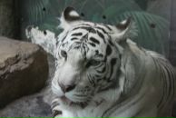 Фотография Аксяитова Рената