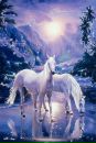 Аліна Довгулевич фотография #31 (источник - https://vk.com/id156408633)
