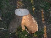 Андрій Цьомик фотография #29 (источник - https://vk.com/id21890105)