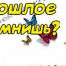 Вікторія Назарчук фотография #40 (источник - https://vk.com/id138874589)