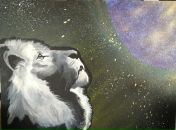 Фотография Верина Ильи