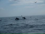 Фотография Аааааа Тани