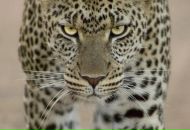 Фотография Zorina Nadin