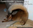 Анна-Марія Демянчук фотография #41 (источник - https://vk.com/id159110373)