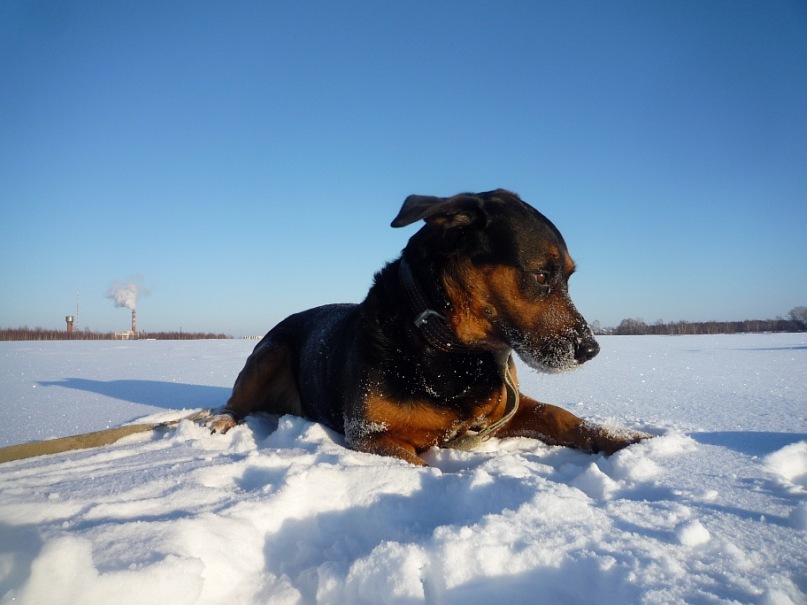 Иван Сандулов фотография #36