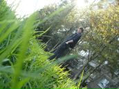 Фотография Лазаренко Евгения