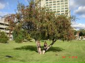 Андріана Климків фотография #17 (источник - https://vk.com/id7379314)