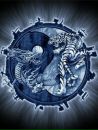 Іван Коритарюк фотография #6 (источник - https://vk.com/id134987715)