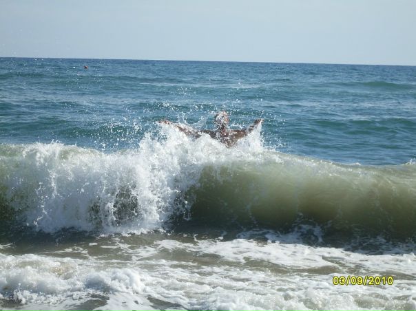 Oksana Pustovit фото №21