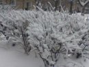 Наталія Рябушко фотография #20 (источник - https://vk.com/id48705039)
