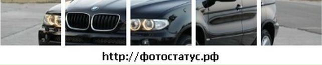 Ваня Батіг фотография #7 (источник - https://vk.com/id137455979)