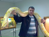 Фотография Потапенко Михаила