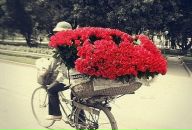 Фотография Серых Марины