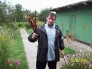 Алексей Рогальский фотография #16 (источник - https://vk.com/id62949081)
