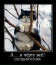Фотография Кираченко Евгения