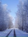 Фотография Литвиновой Софьи