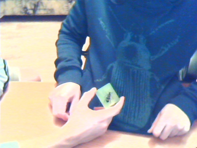 The Picha фотография #29