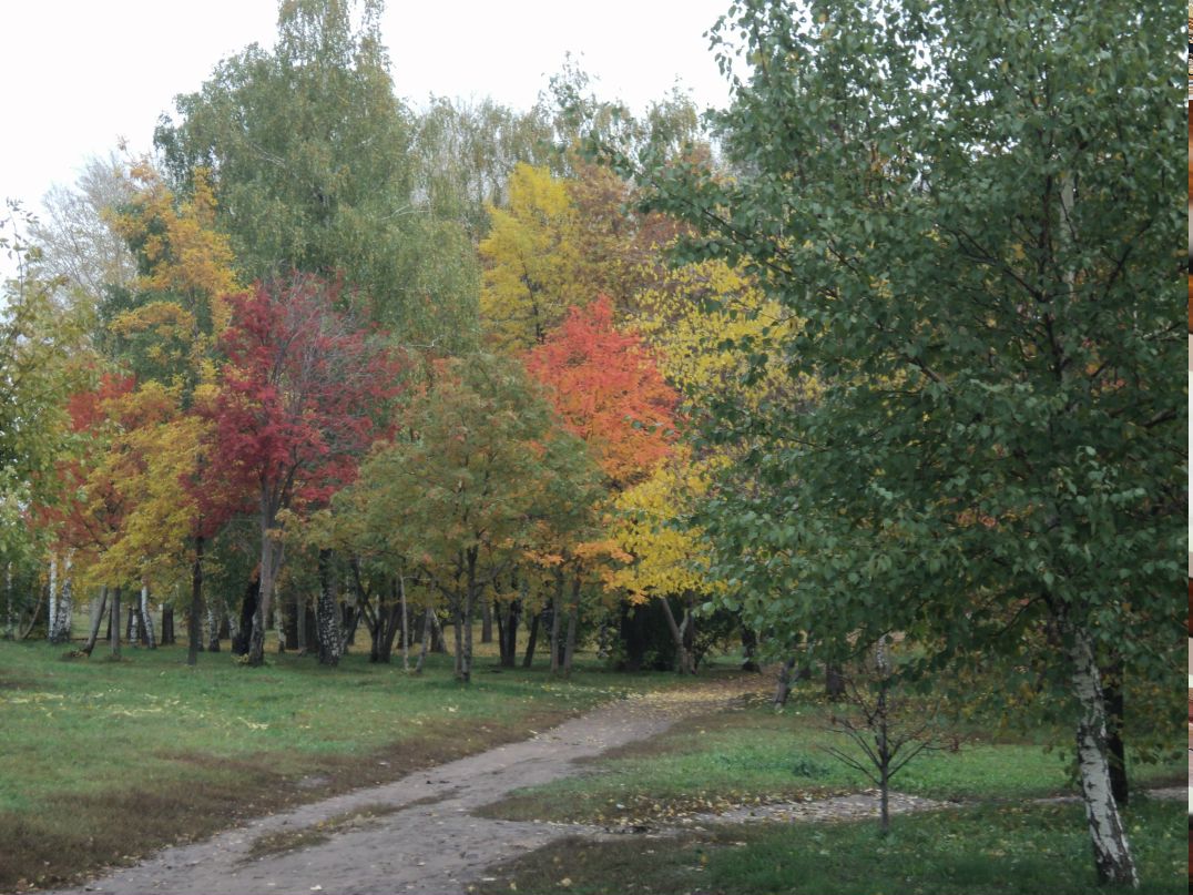 Надежда Ткаченко фотография #5