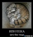 Фотография Малютина Александра