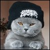 Віка Цимбал фотография #3 (источник - https://vk.com/id124940765)