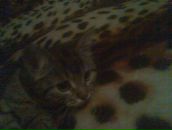 Фотография Лунина Сергея