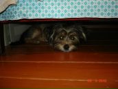 Иван Андреев фотография #45 (источник - https://vk.com/id2534545)