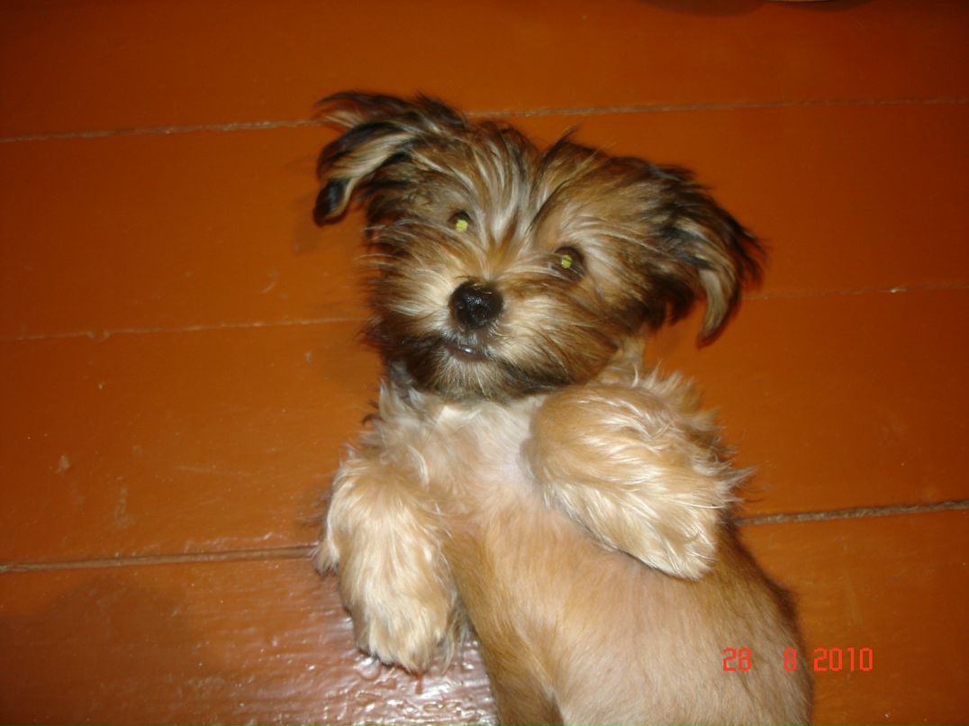 Иван Андреев фотография #43