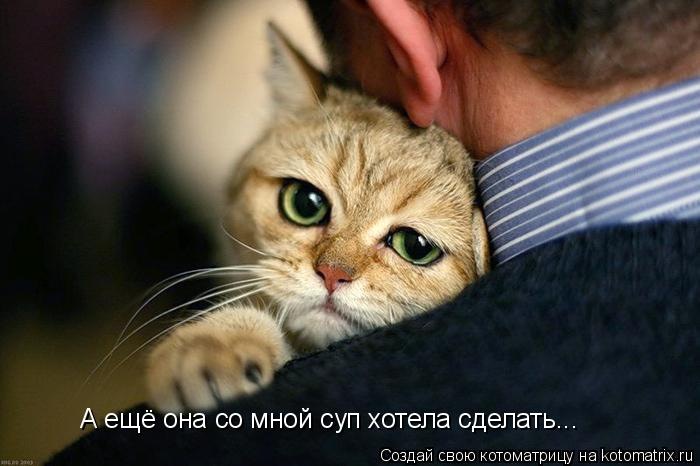 Игорь Приходько фотография #23