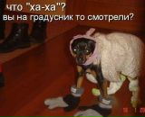 Фотография Демон Ангел